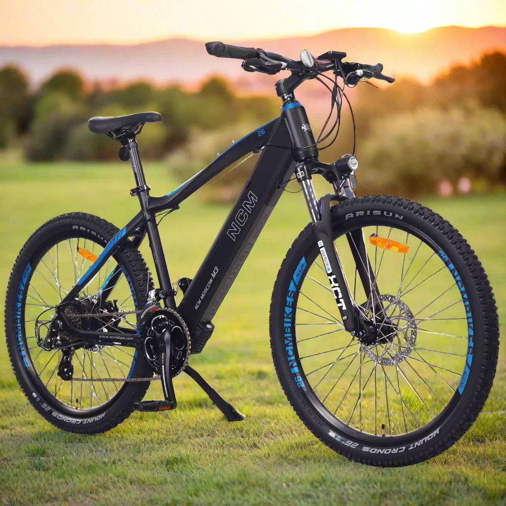 electric bicycle switzerland Mangosteen FT03 250w 25km/h for Sale – Rooder E-Cruisers | E-bike Cruisers in