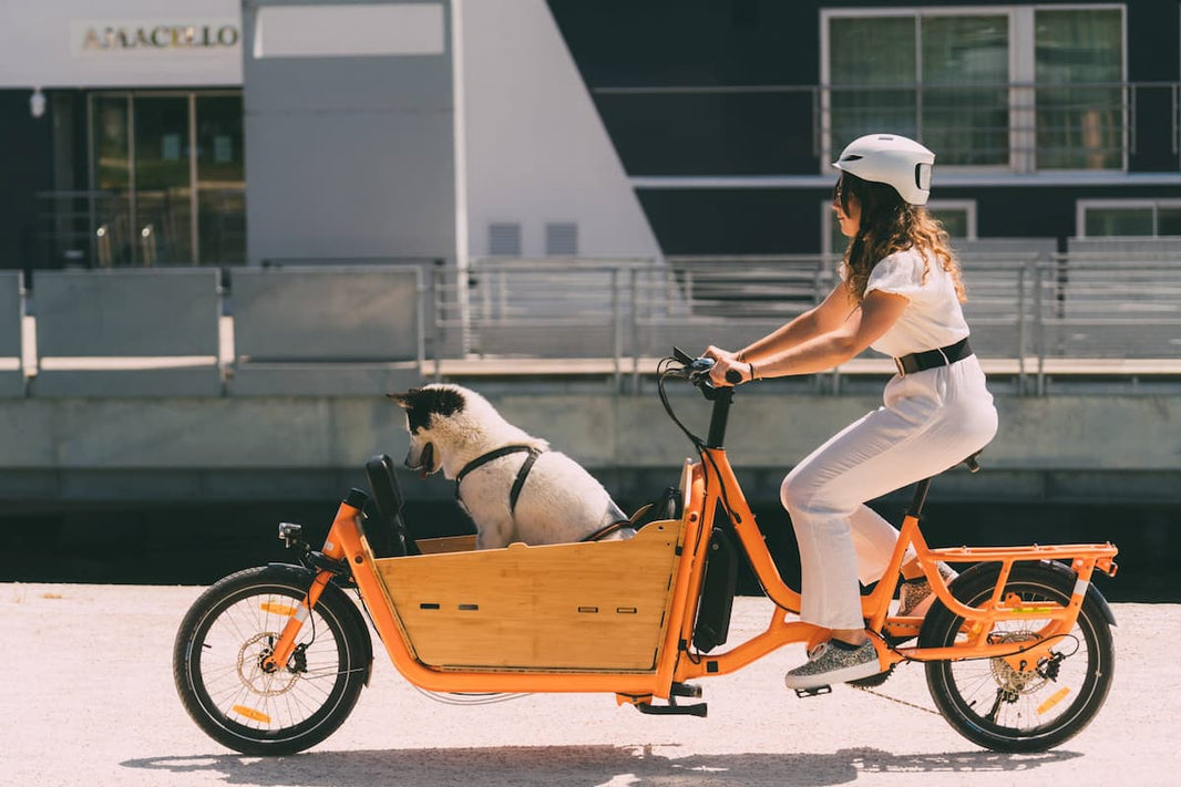 Vélo Cargo Compact : le bon choix pour la ville et les petits espaces ?