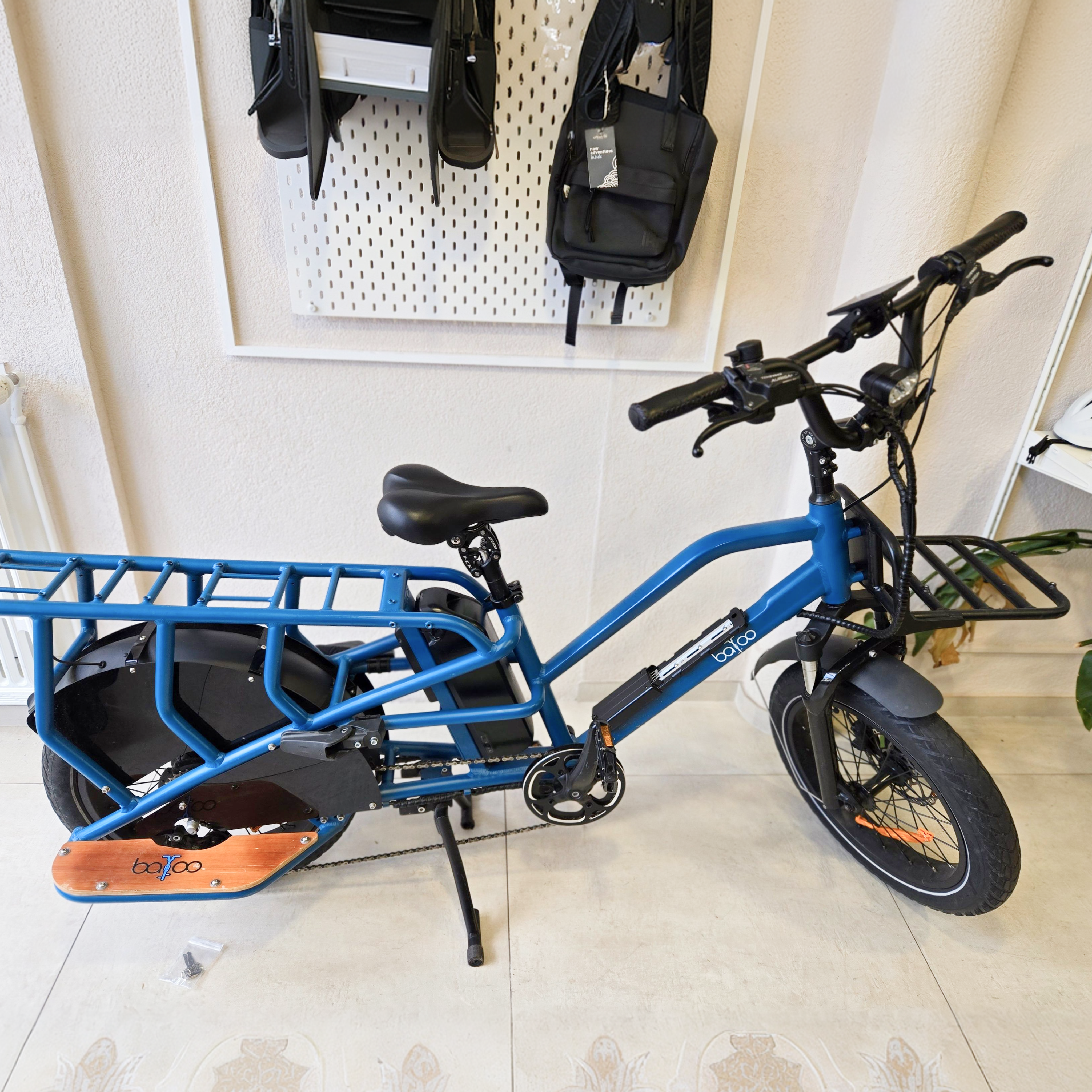 Colibri bleu (1240 km) - Lausanne (VD)