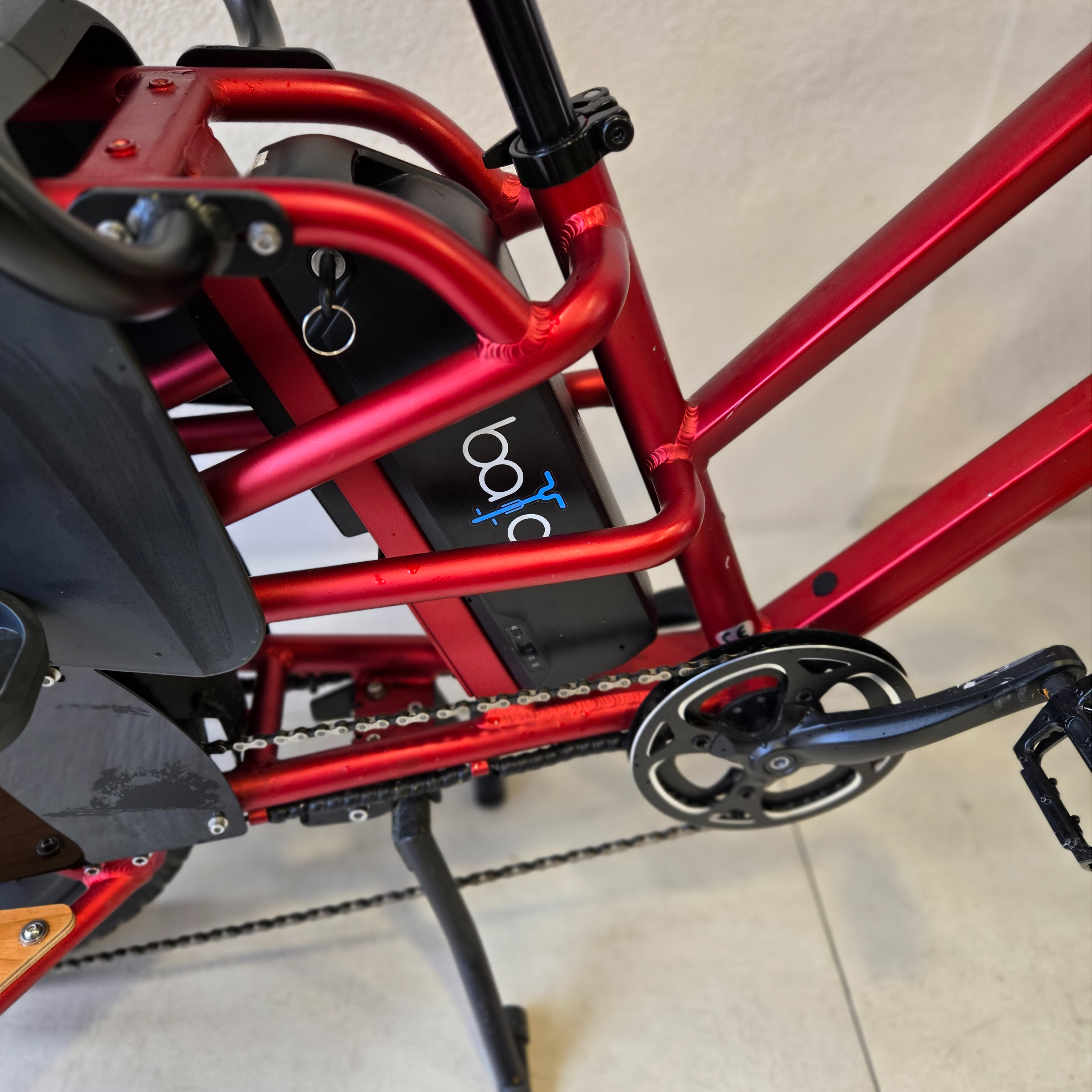 Colibri rouge (450 km) - Lausanne (VD)